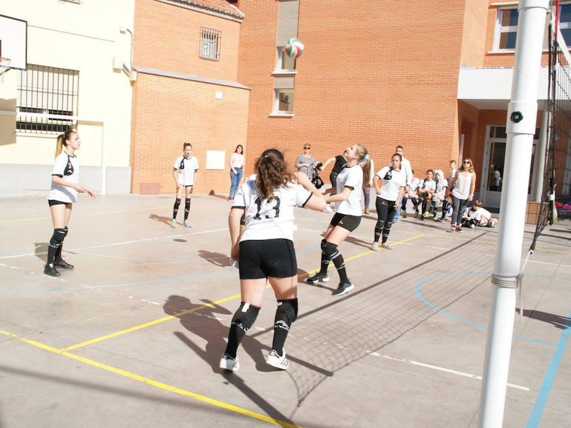 Voleibol infantil femenino: N. S. Carmen voleibol vs. Sagrada Familia Oberón