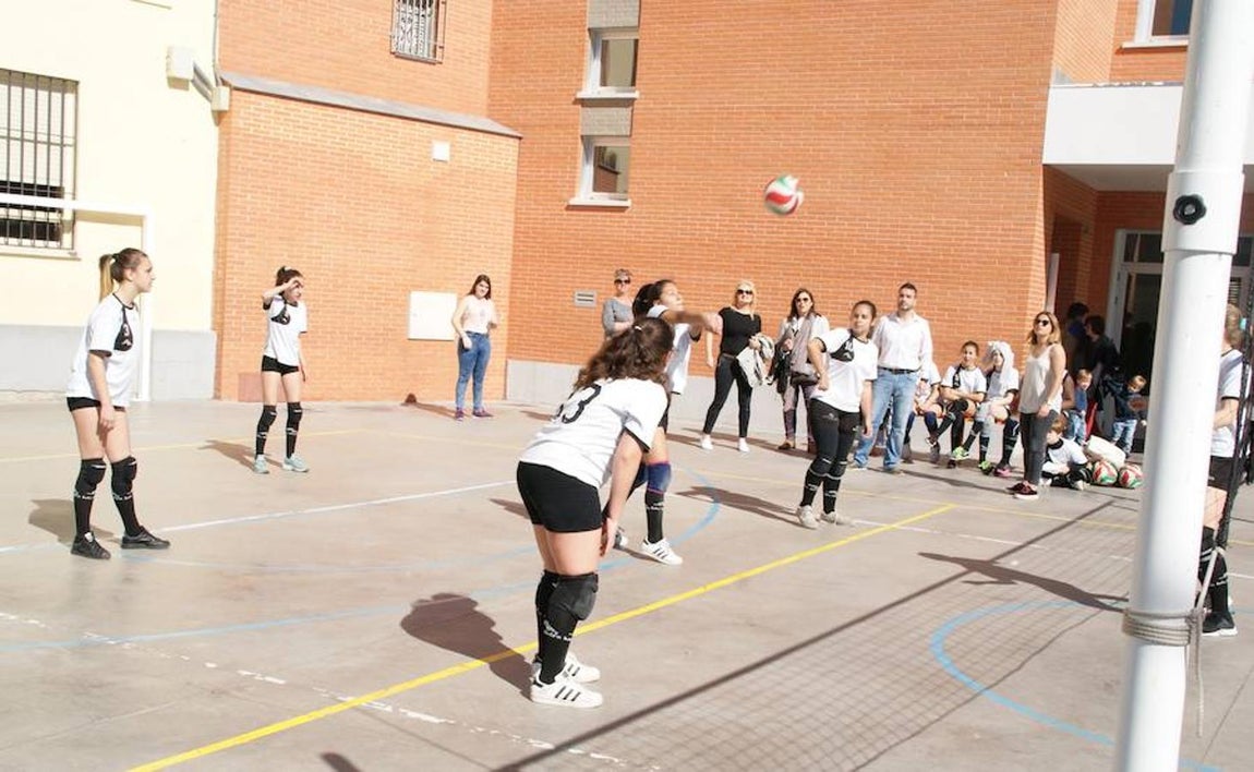 Voleibol infantil femenino: N. S. Carmen voleibol vs. Sagrada Familia Oberón