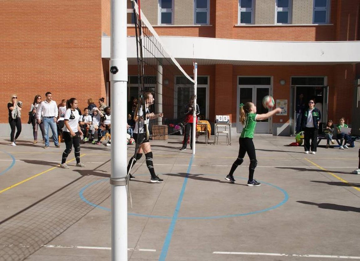 Voleibol infantil femenino: N. S. Carmen voleibol vs. Sagrada Familia Oberón