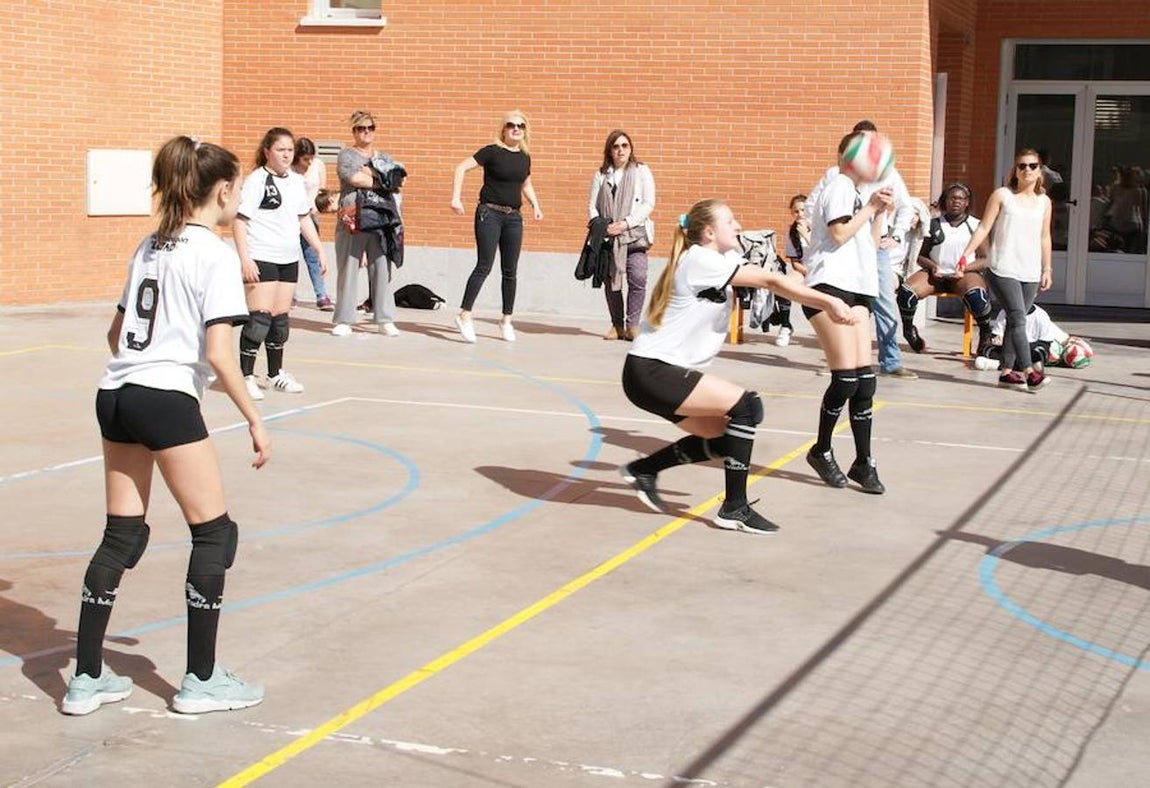 Voleibol infantil femenino: N. S. Carmen voleibol vs. Sagrada Familia Oberón