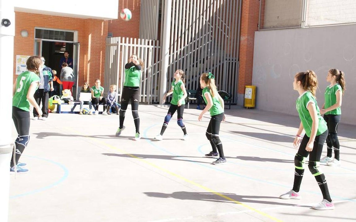 Voleibol infantil femenino: N. S. Carmen voleibol vs. Sagrada Familia Oberón