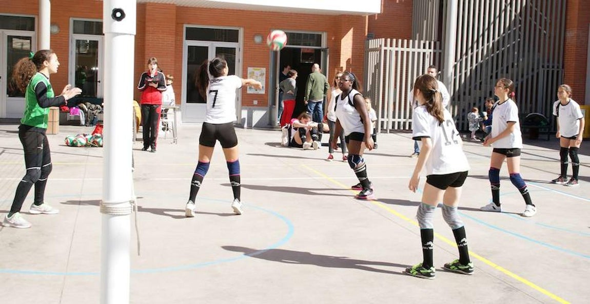 Voleibol infantil femenino: N. S. Carmen voleibol vs. Sagrada Familia Oberón