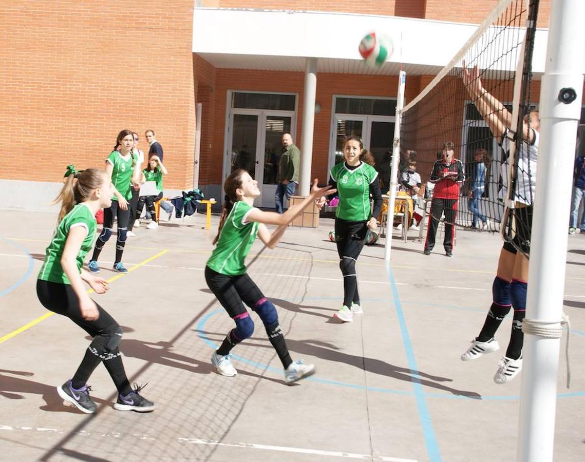 Voleibol infantil femenino: N. S. Carmen voleibol vs. Sagrada Familia Oberón