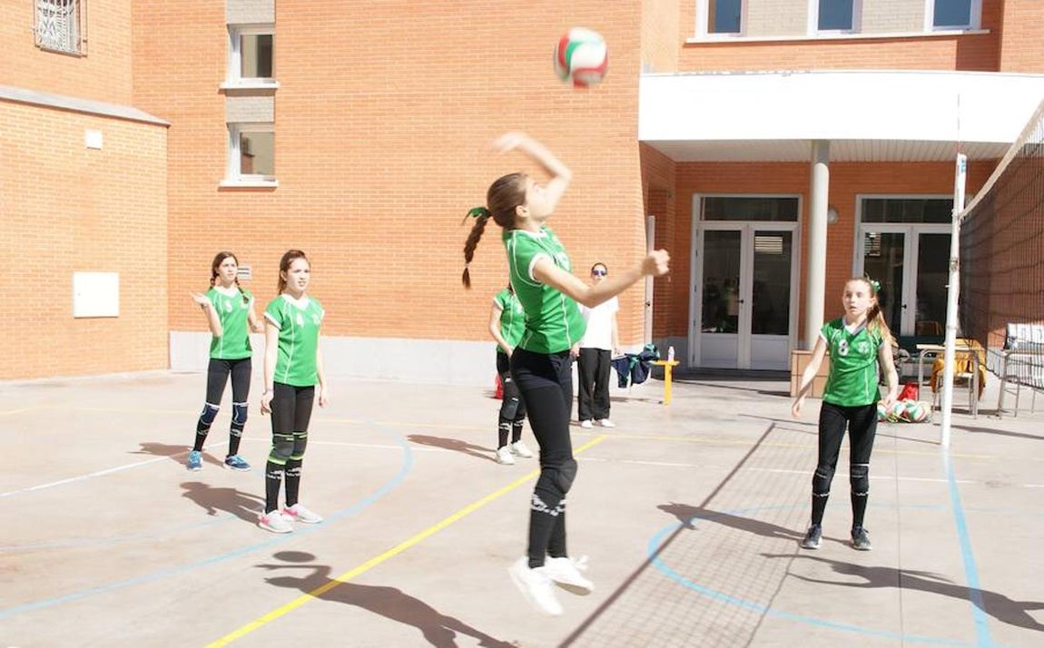 Voleibol infantil femenino: N. S. Carmen voleibol vs. Sagrada Familia Oberón