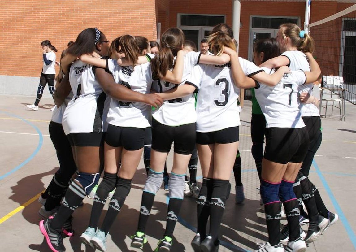 Voleibol infantil femenino: N. S. Carmen voleibol vs. Sagrada Familia Oberón
