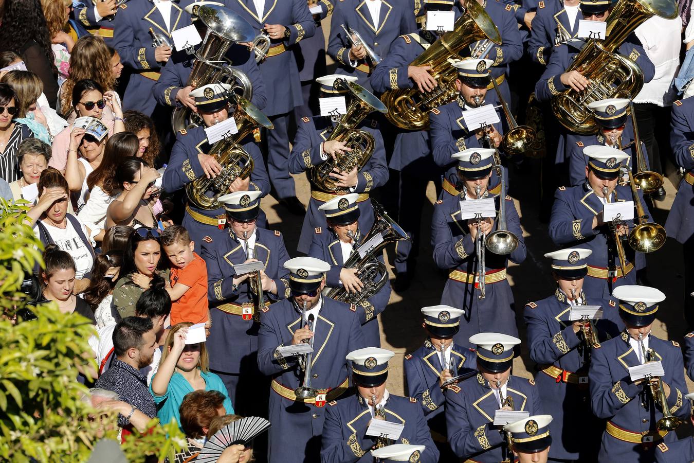 El Amor de Domingo de Ramos, en imágenes