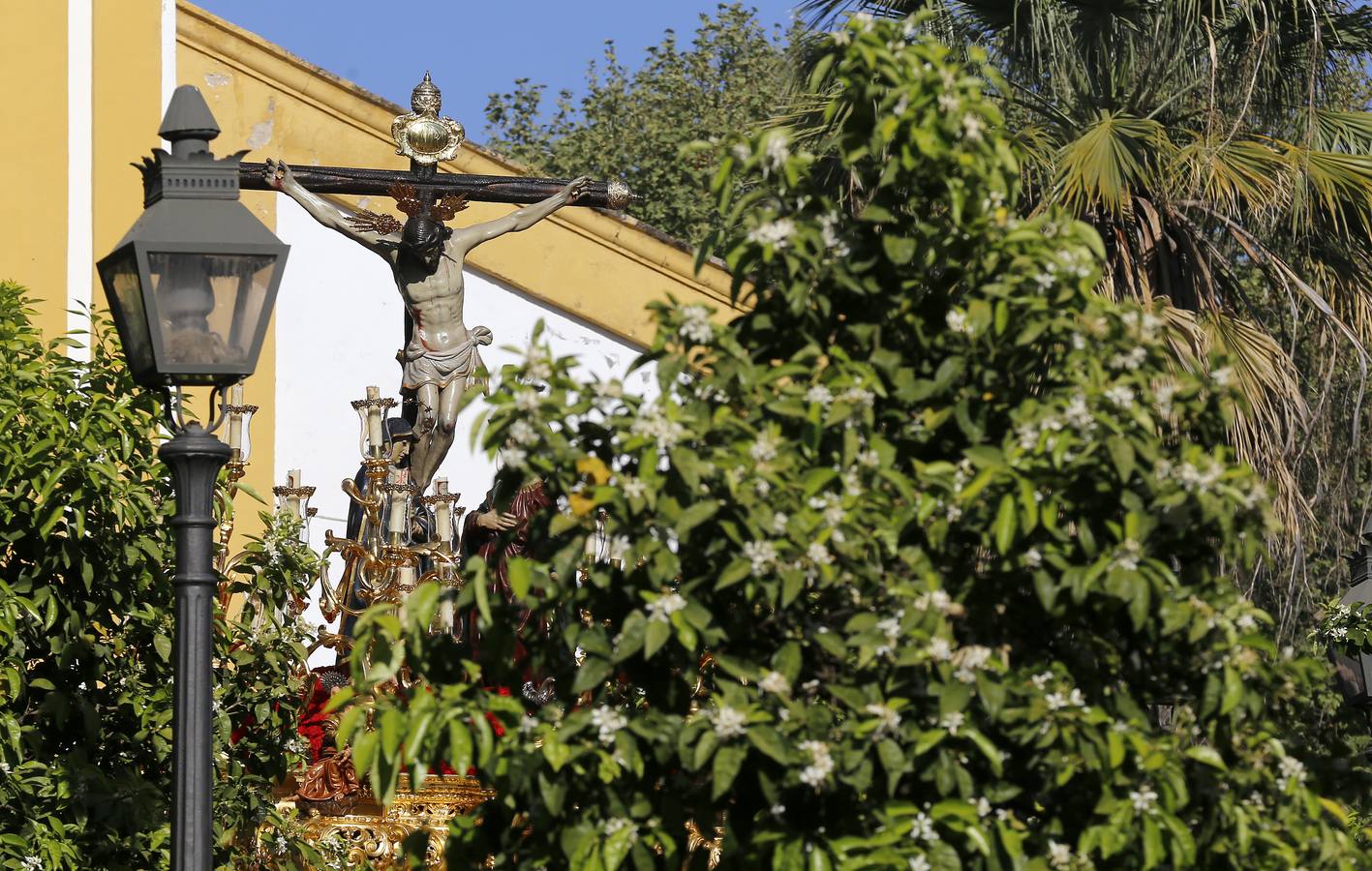 El Amor de Domingo de Ramos, en imágenes