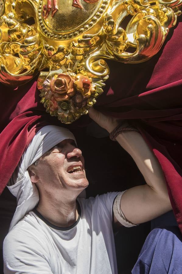 Las fotos de La Paz el Domingo de Ramos de la Semana Santa de Sevilla 2017