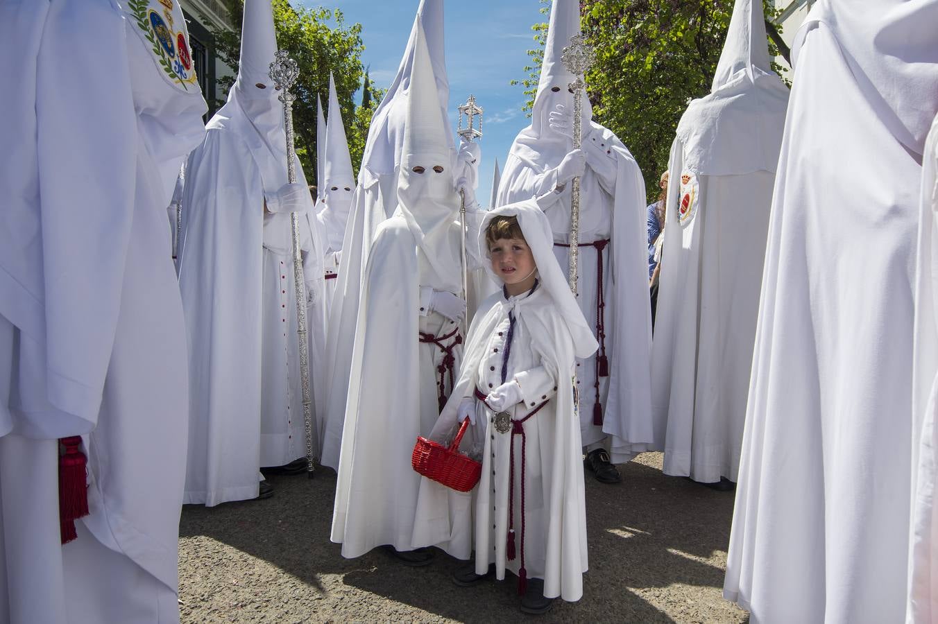 Las fotos de La Paz el Domingo de Ramos de la Semana Santa de Sevilla 2017