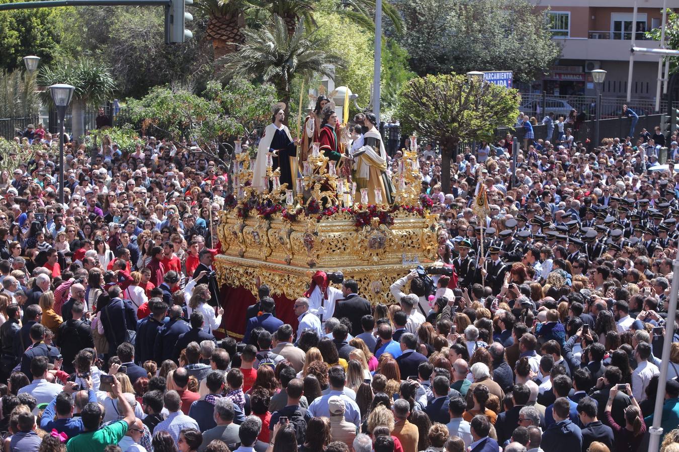 Semana Santa de Cádiz 2017. Cofradía de la Borriquita