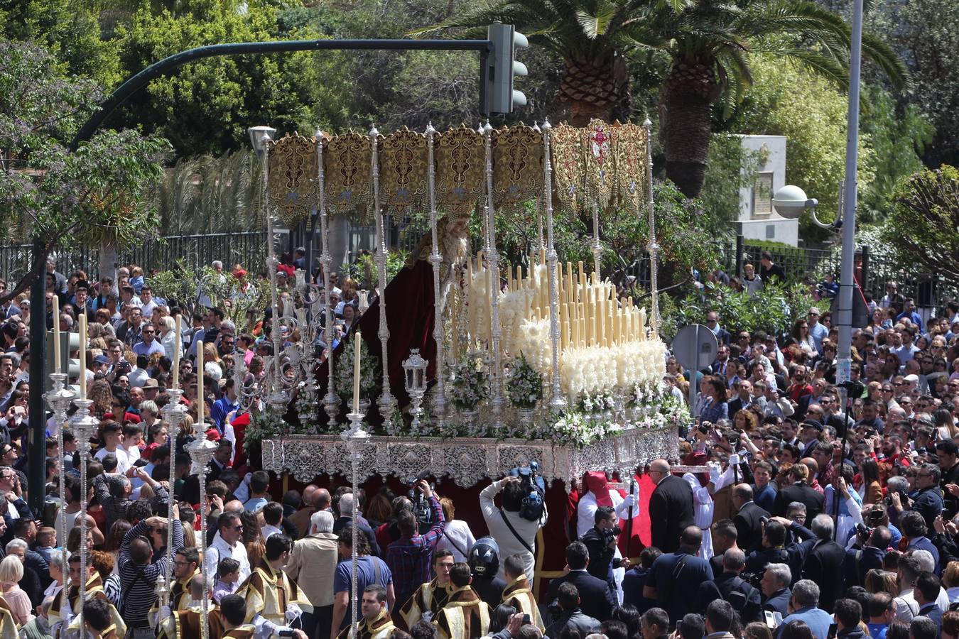 Semana Santa de Cádiz 2017. Cofradía de la Borriquita