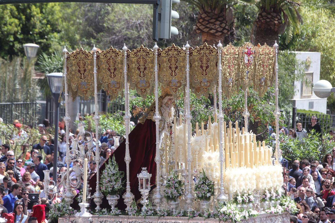 Semana Santa de Cádiz 2017. Cofradía de la Borriquita