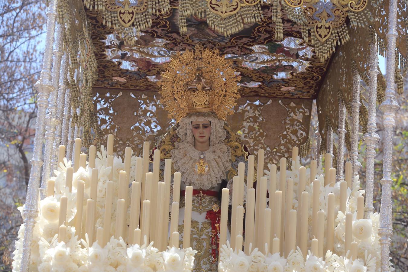 Semana Santa de Cádiz 2017. Cofradía de la Borriquita