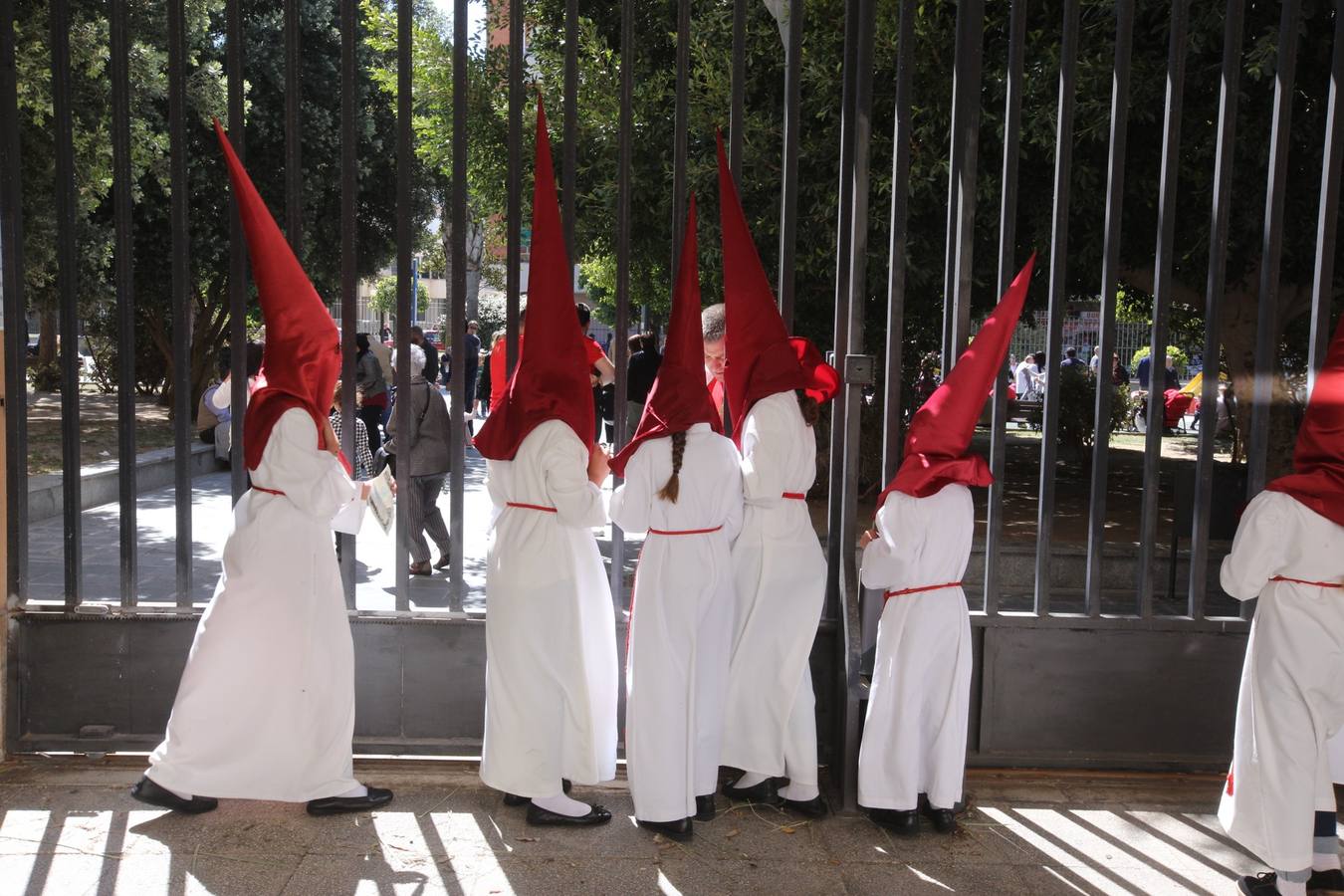 Semana Santa de Cádiz 2017. Cofradía de la Borriquita