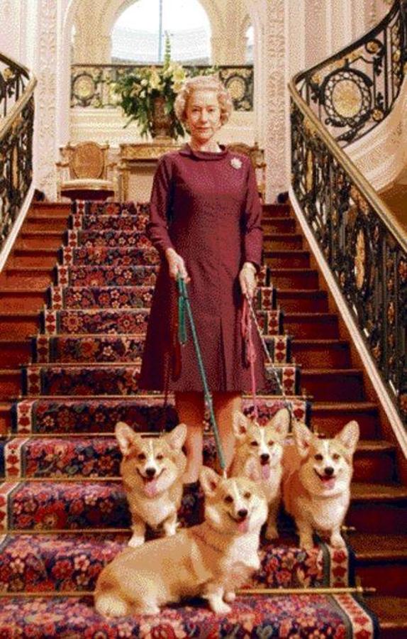 Tanto Enrique como Guillermo de Inglaterra tuvieron muchos animales domésticos durante su infancia. Un amor por los animales heredado de su abuela, la Reina Isabel II, quien muestra una particular pasión por los corgis. Ahora solo le queda uno, Willow, y dos dorgis -cruce de corgi y dachsmund-, Candy y Vulcan. 
