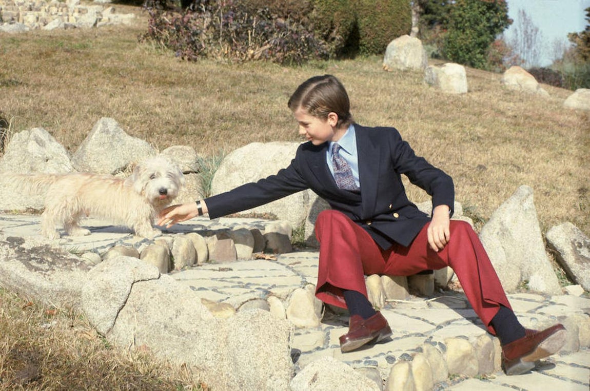 El Rey Felipe VI ha tenido numerosas mascotas a lo largo de su vida: «Pushkin», un perro de raza schnauzer, «Pinqui», «Balú», y un descendiente de «Pushkin» han sido algunas de ellas. 