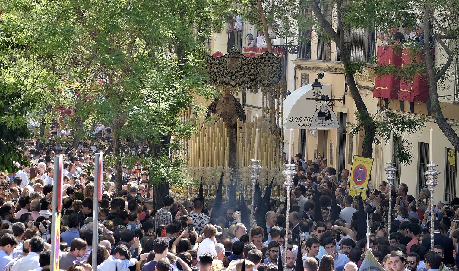 Las fotos de San Bernardo en el Miércoles Santo de la Semana Santa de Sevilla 2017