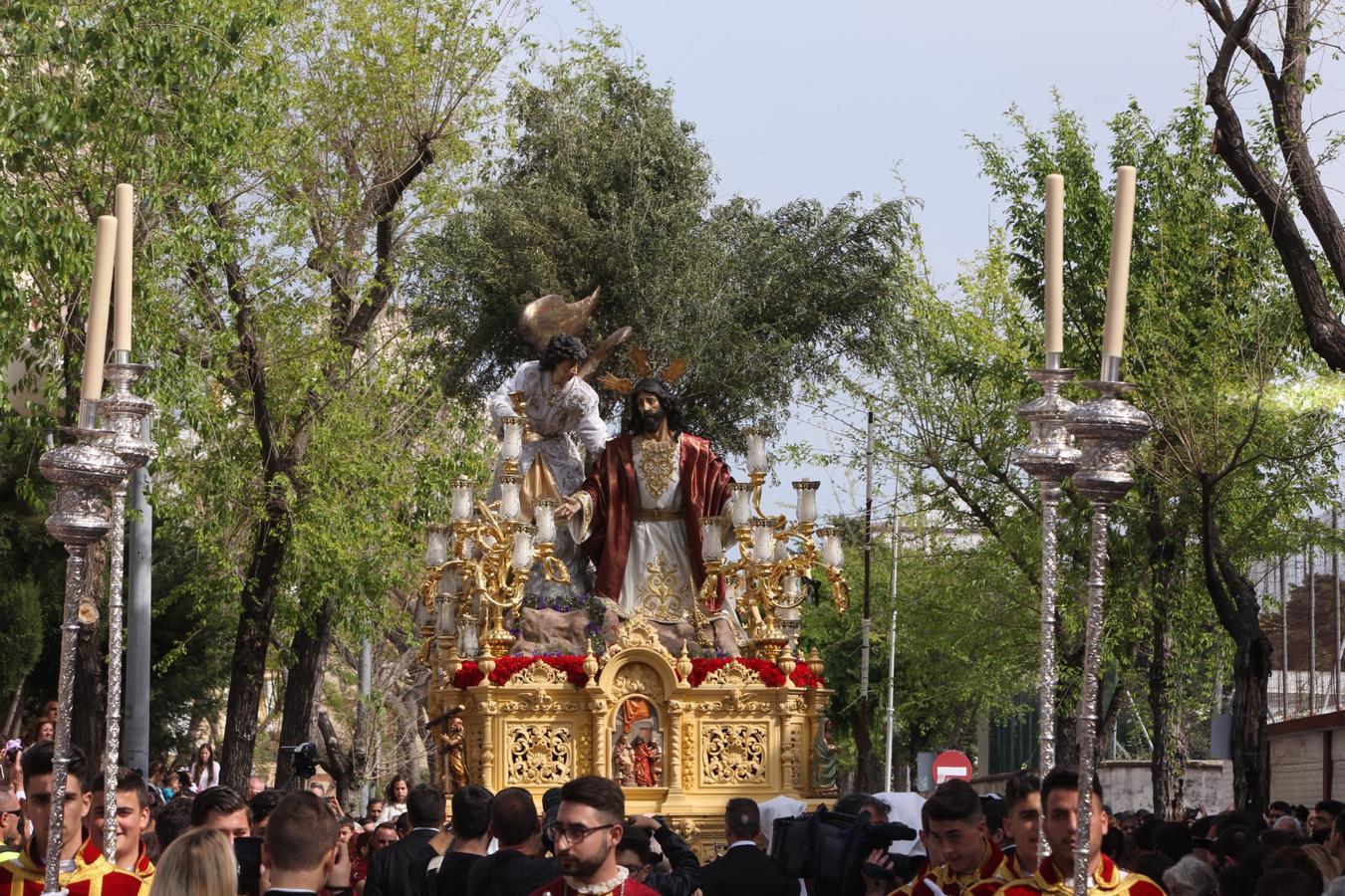 Galería de imágenes: Oración en el Huerto