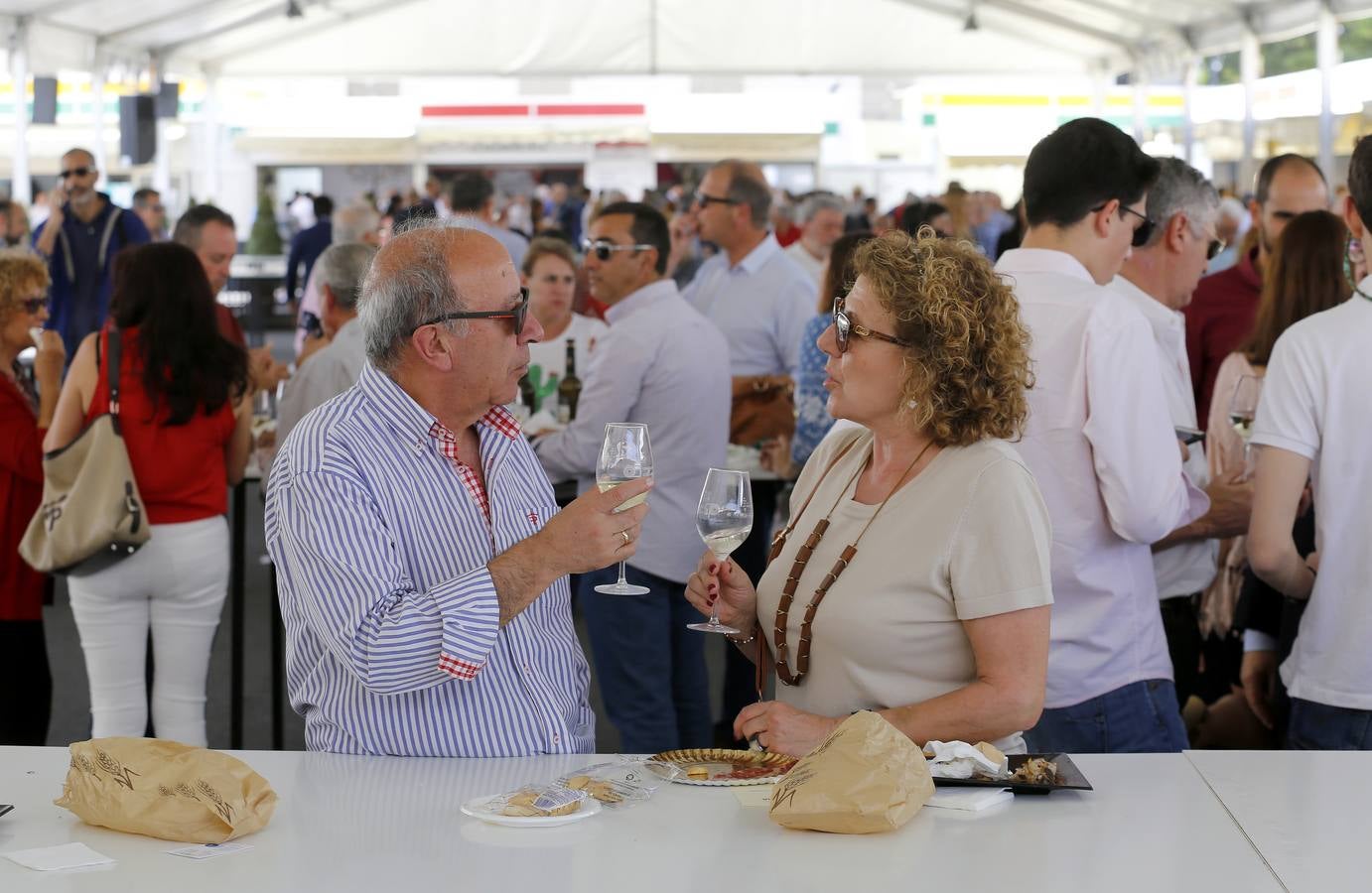 La gran fiesta del Vino cordobés, en imágenes