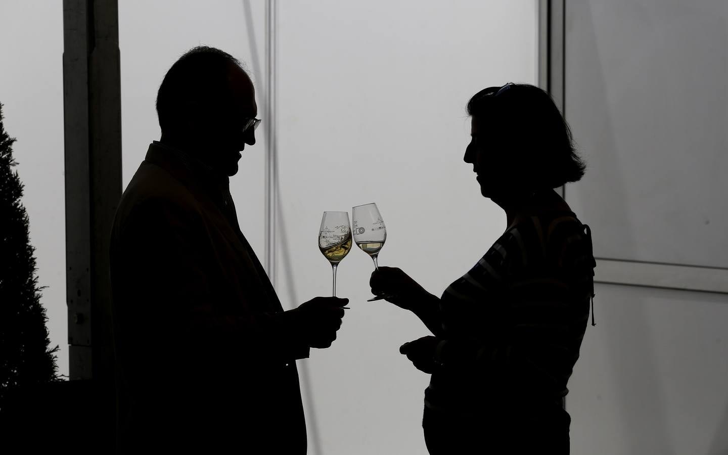 La gran fiesta del Vino cordobés, en imágenes