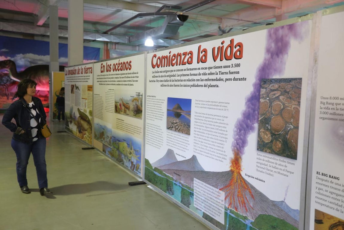 Fotos: Así es Expo Jurásico, la mayor muestra de dinosaurios animatrónicos