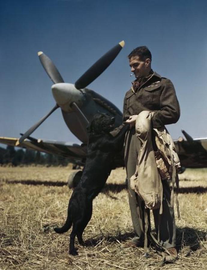 Un piloto de la RAF con su perro en Normandía en julio de 1944. 