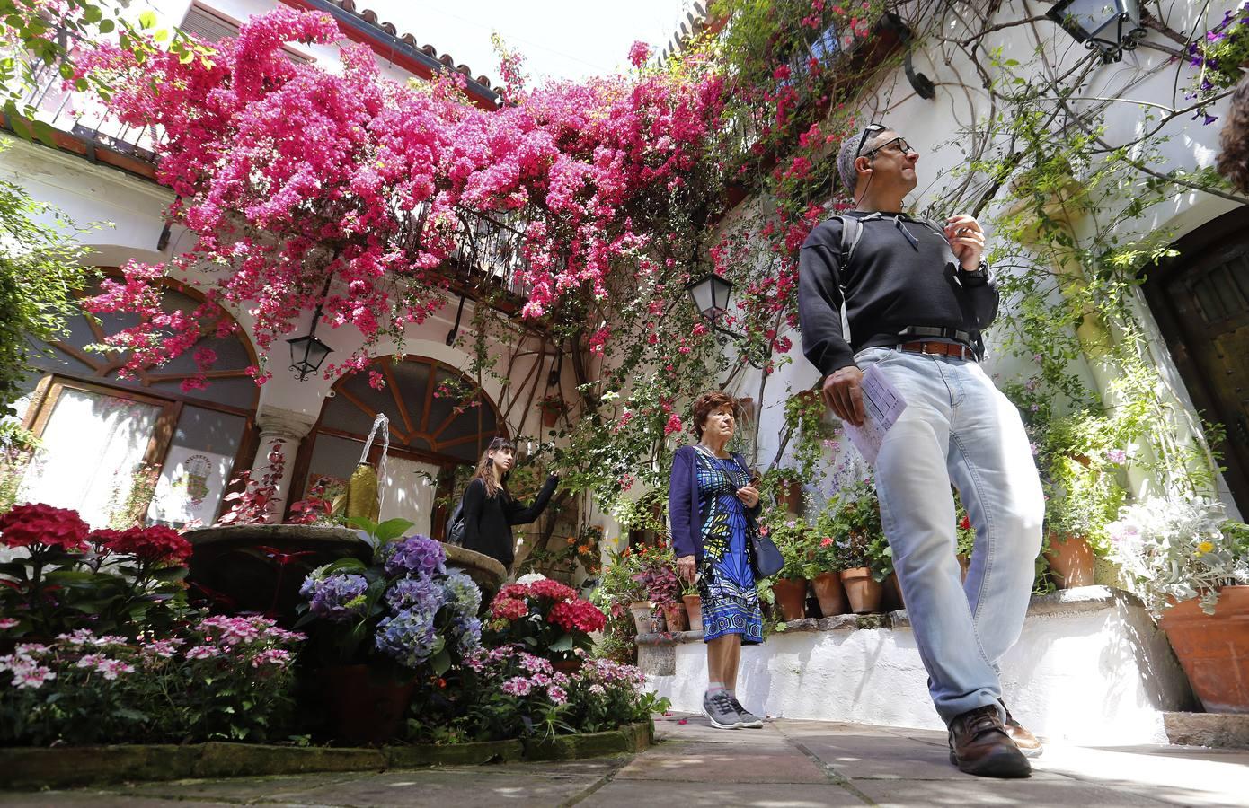 En imágenes, una ruta por los patios de Santiago y San Pedro