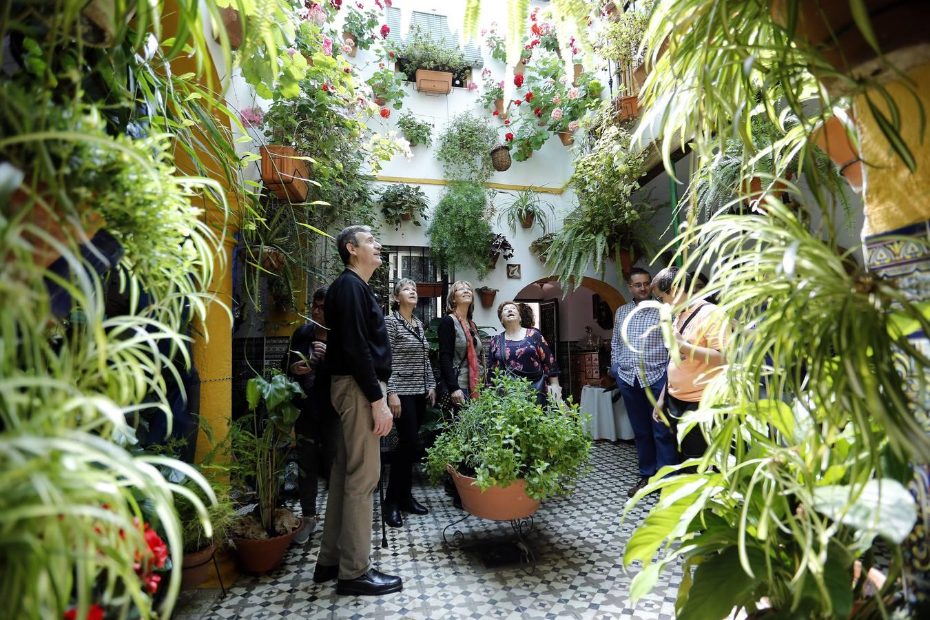 En imágenes, una ruta por los patios de Santiago y San Pedro