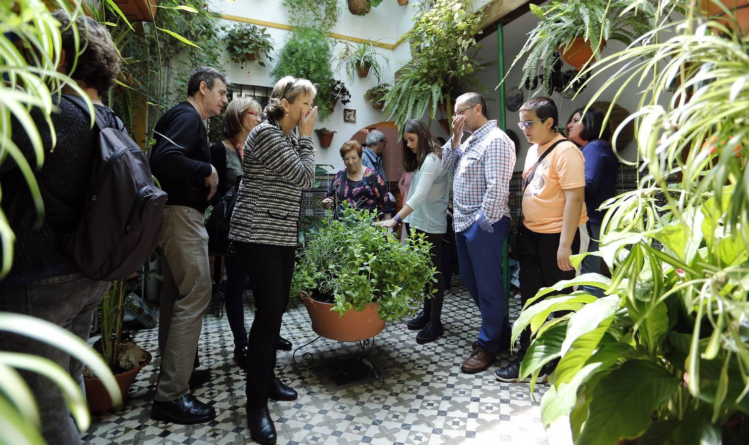 En imágenes, una ruta por los patios de Santiago y San Pedro