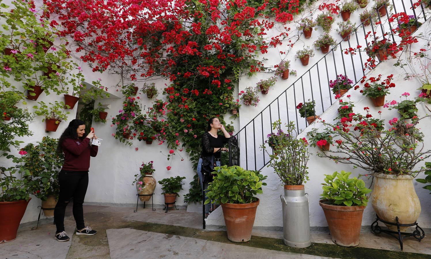 En imágenes, una ruta por los patios de Santiago y San Pedro