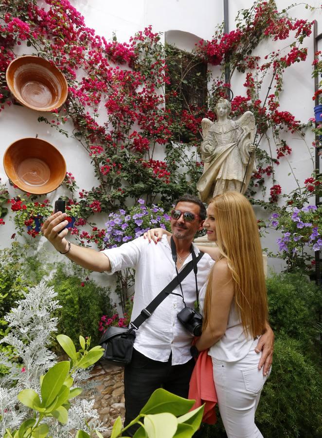 En imágenes, los patios de San Lorenzo en Córdoba