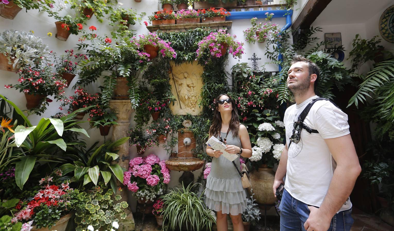 En imágenes, los patios de San Lorenzo en Córdoba