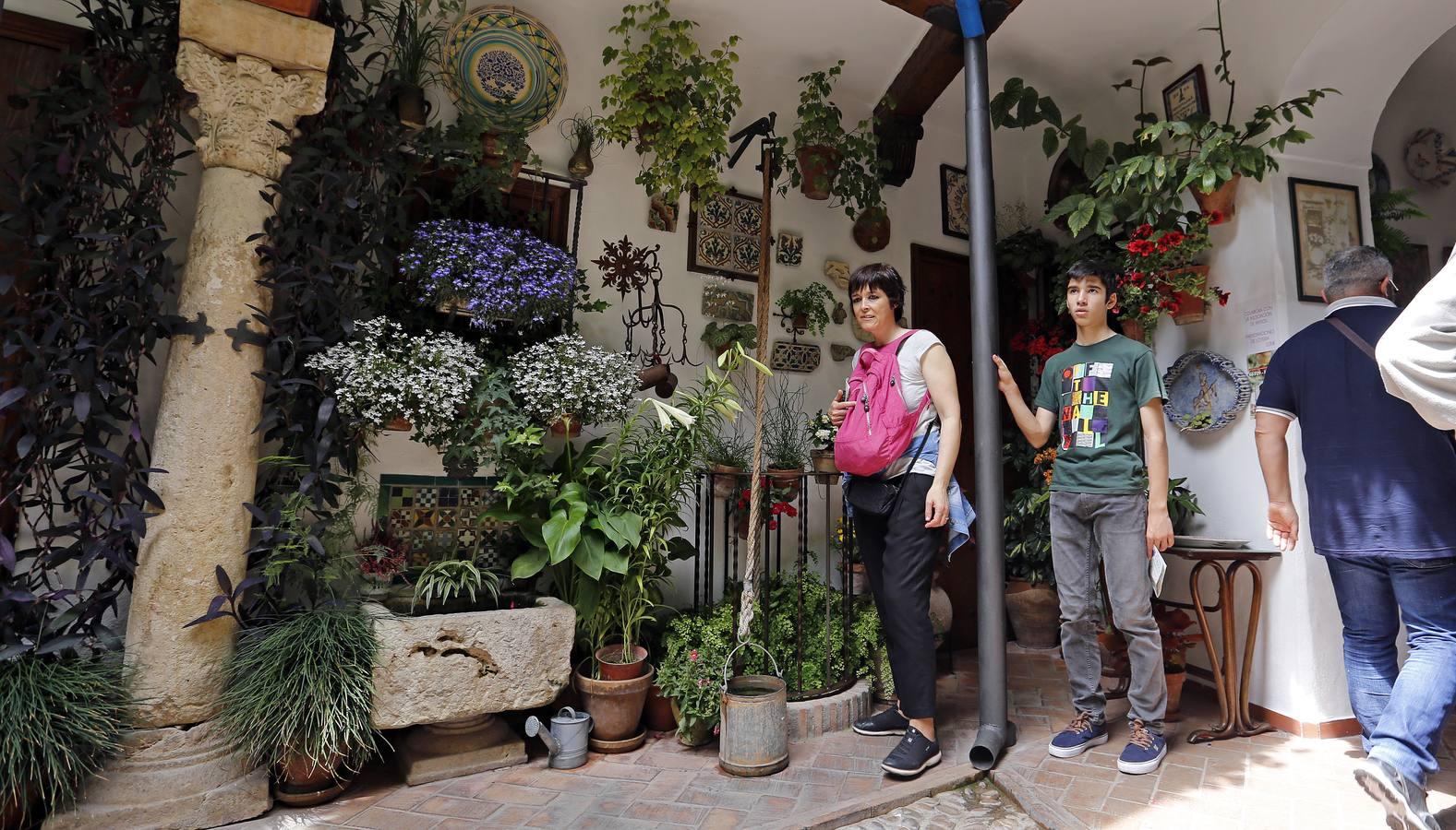 En imágenes, los patios de San Lorenzo en Córdoba