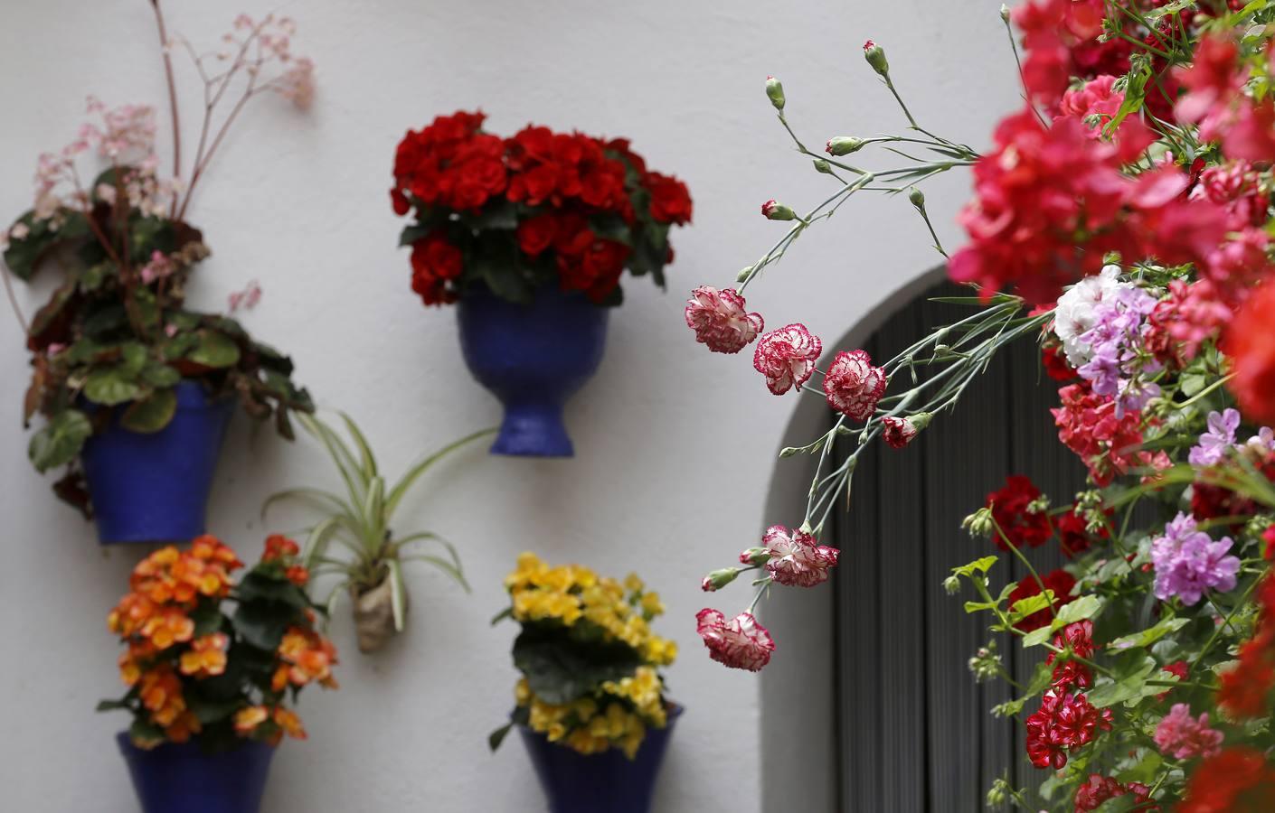 En imágenes, los patios de San Lorenzo en Córdoba