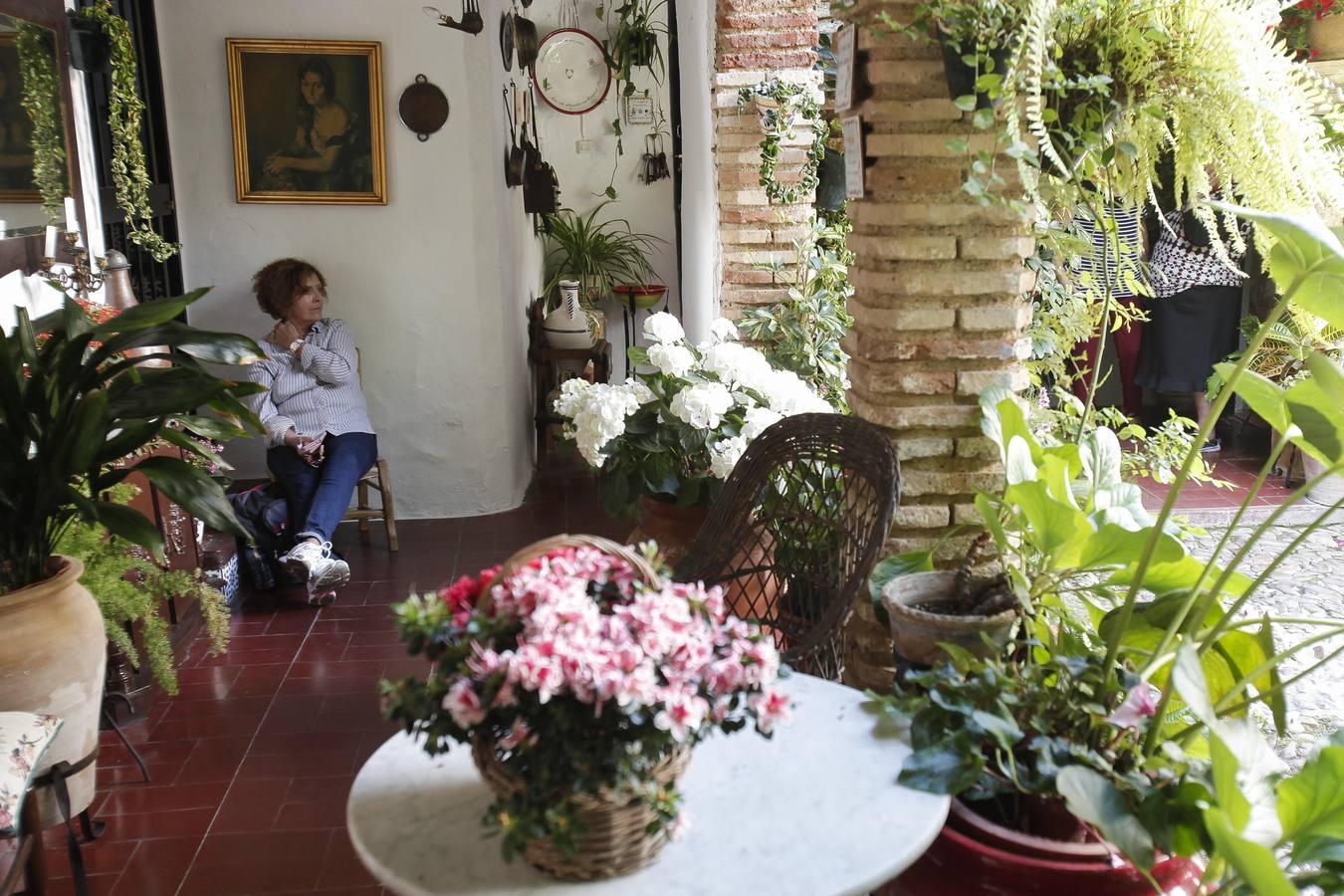 Un sábado de colas en los Patios de Córdoba de 2017