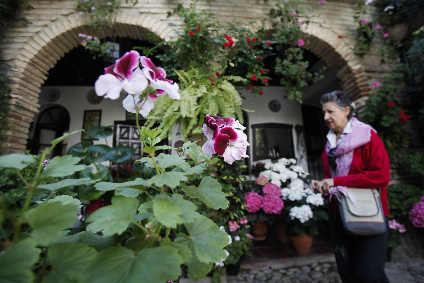 Un sábado de colas en los Patios de Córdoba de 2017