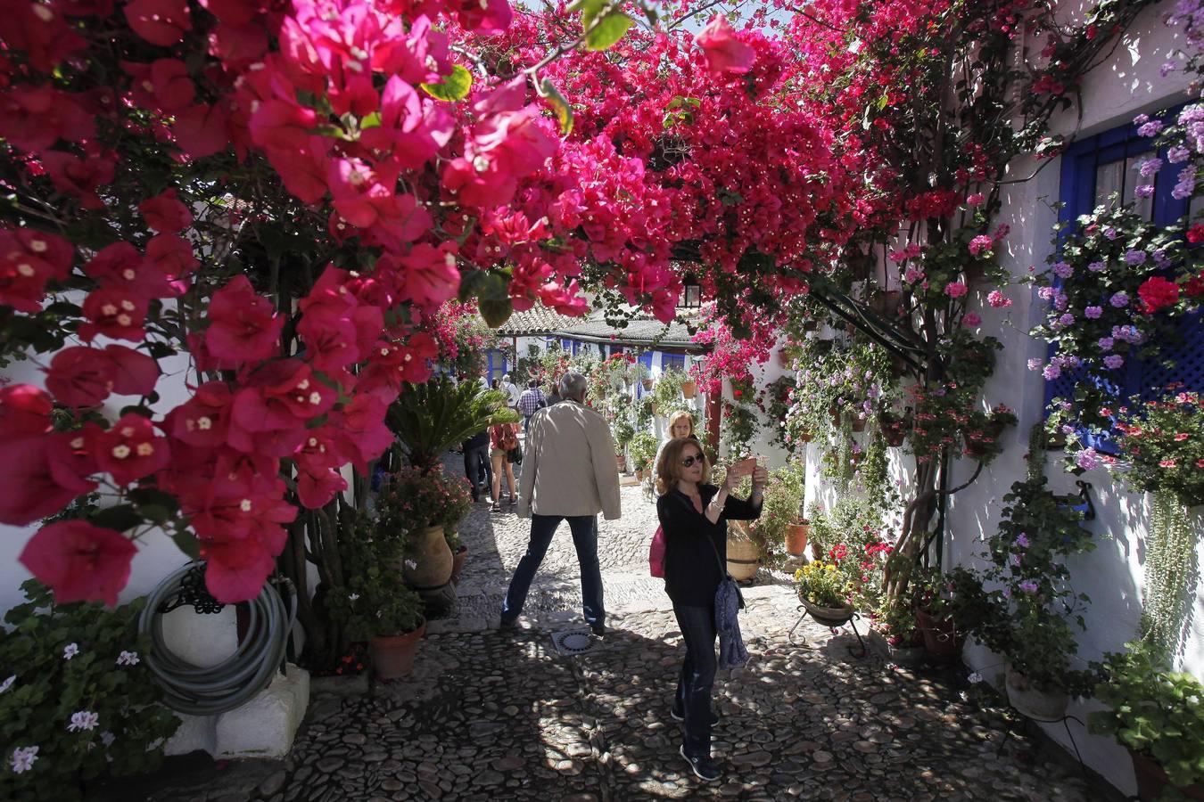 Un sábado de colas en los Patios de Córdoba de 2017