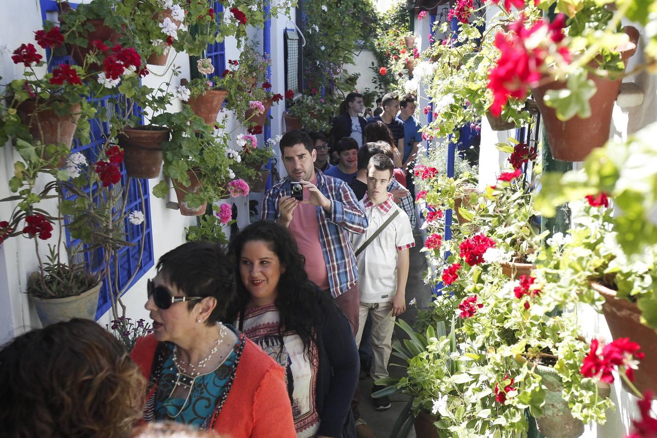 Un sábado de colas en los Patios de Córdoba de 2017