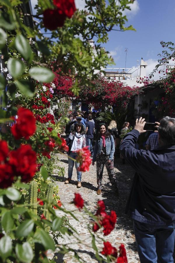 Un sábado de colas en los Patios de Córdoba de 2017