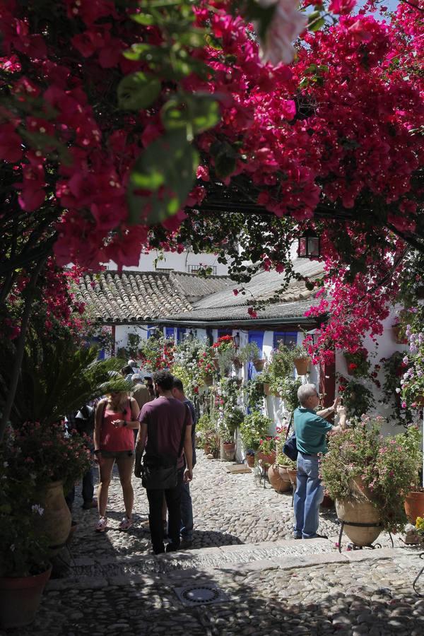 Un sábado de colas en los Patios de Córdoba de 2017