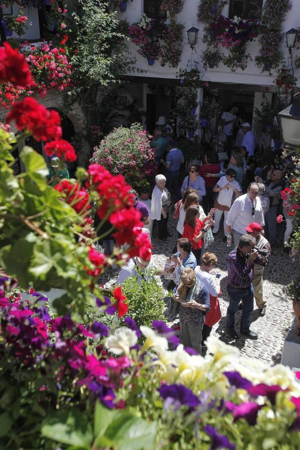 Un sábado de colas en los Patios de Córdoba de 2017