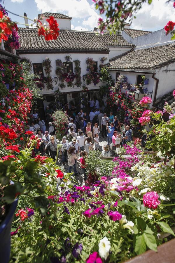 Un sábado de colas en los Patios de Córdoba de 2017