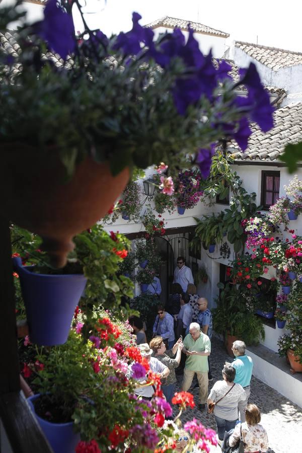 Un sábado de colas en los Patios de Córdoba de 2017