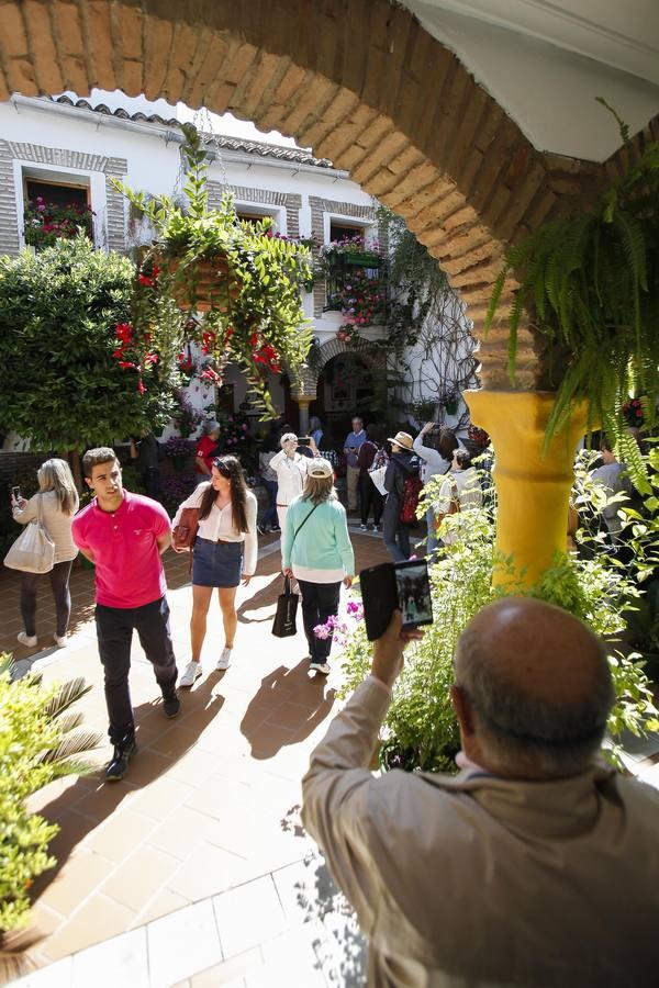 Un sábado de colas en los Patios de Córdoba de 2017