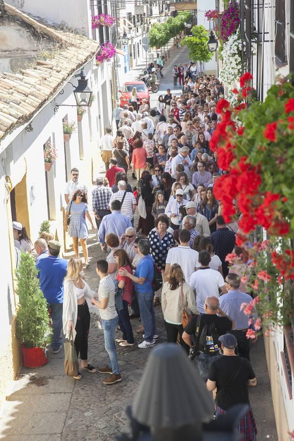 Un domingo de sol y colas en los Patios de Córdoba de 2017