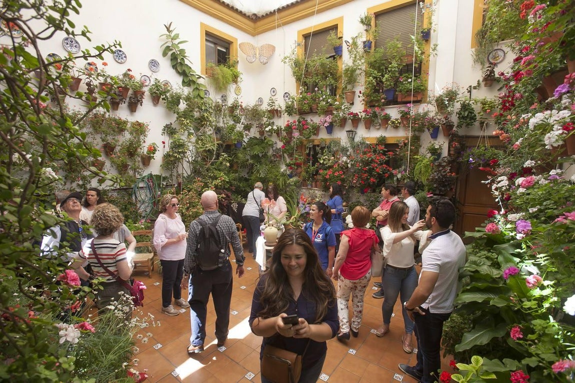 Un domingo de sol y colas en los Patios de Córdoba de 2017
