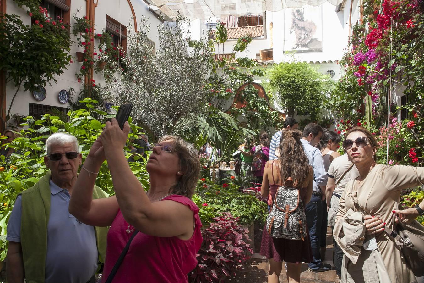 Un domingo de sol y colas en los Patios de Córdoba de 2017