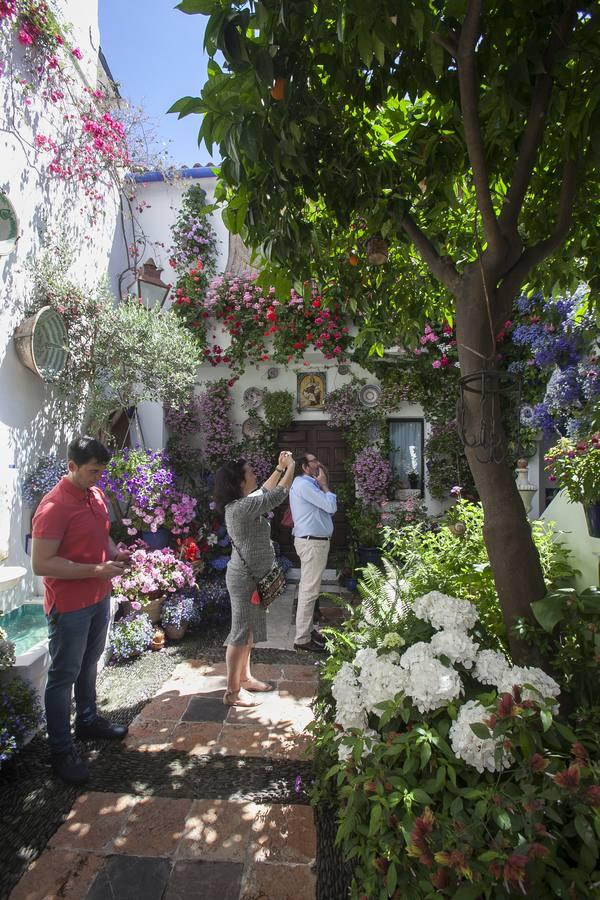 Un domingo de sol y colas en los Patios de Córdoba de 2017