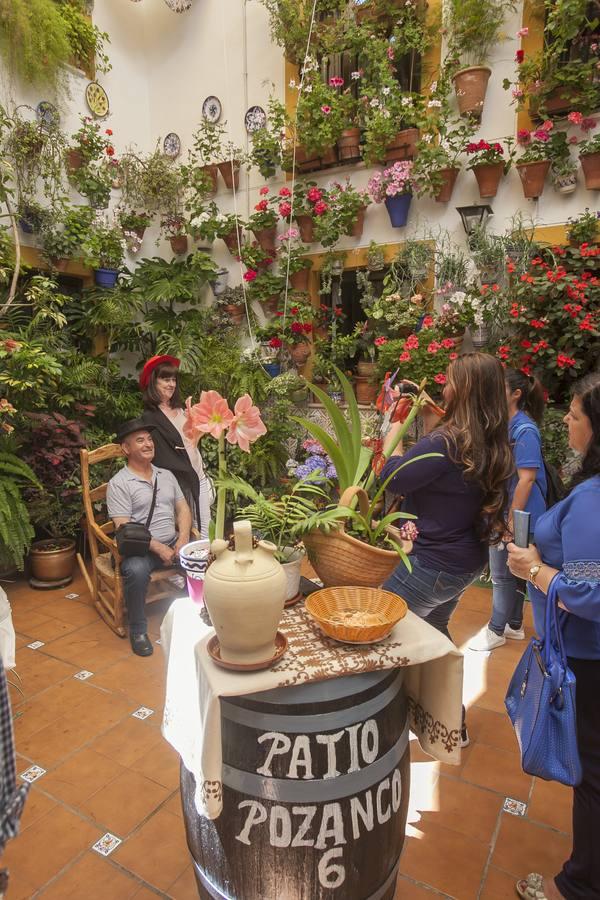 Un domingo de sol y colas en los Patios de Córdoba de 2017