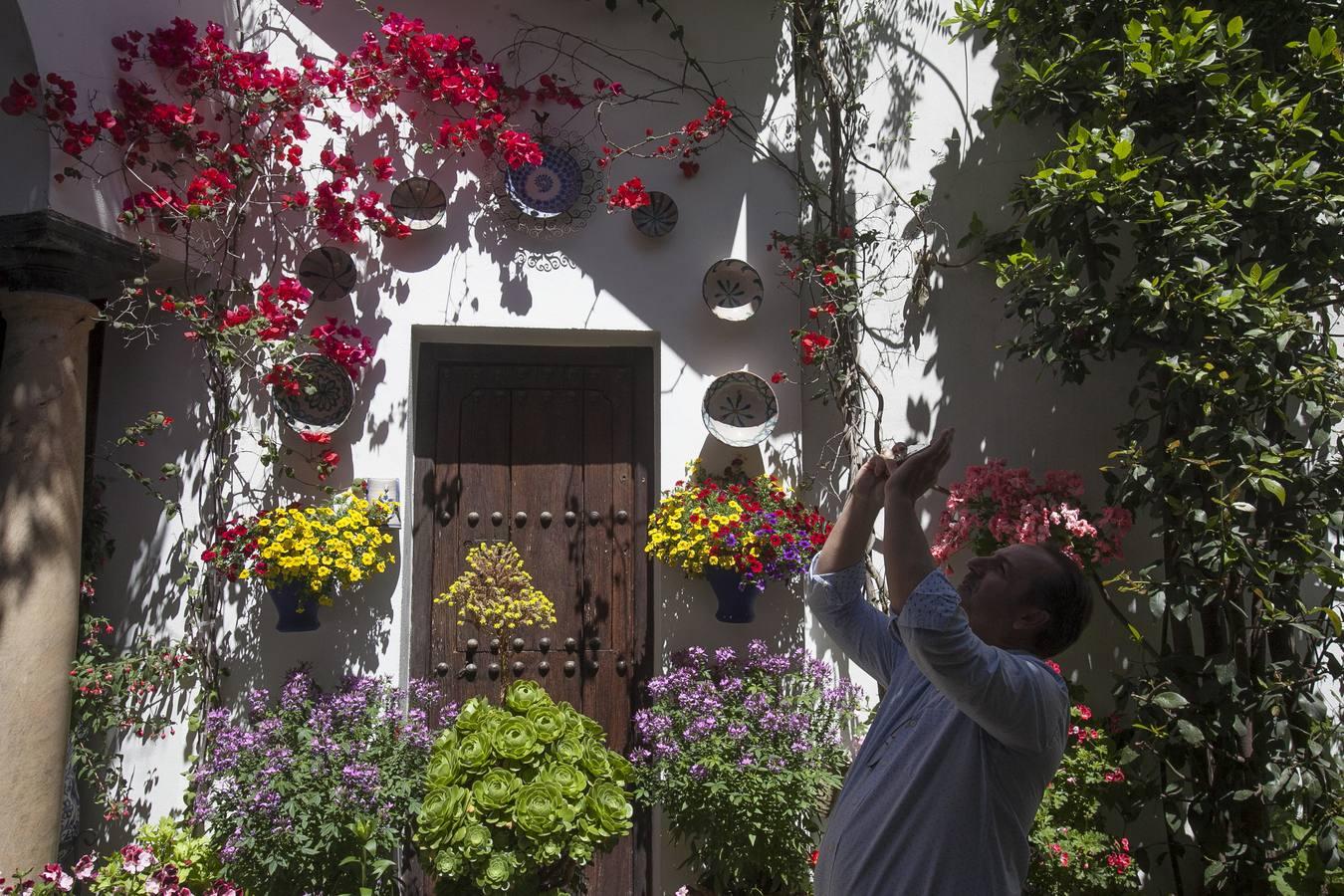 Un domingo de sol y colas en los Patios de Córdoba de 2017